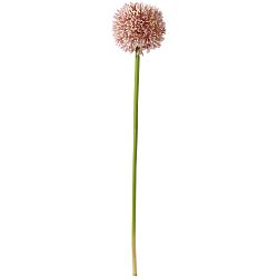 Umělá Květina Allium I -Paz-